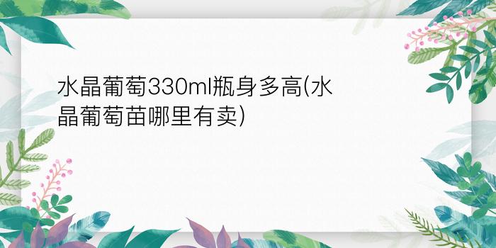 水晶葡萄330ml瓶身多高(水晶葡萄苗哪里有卖)