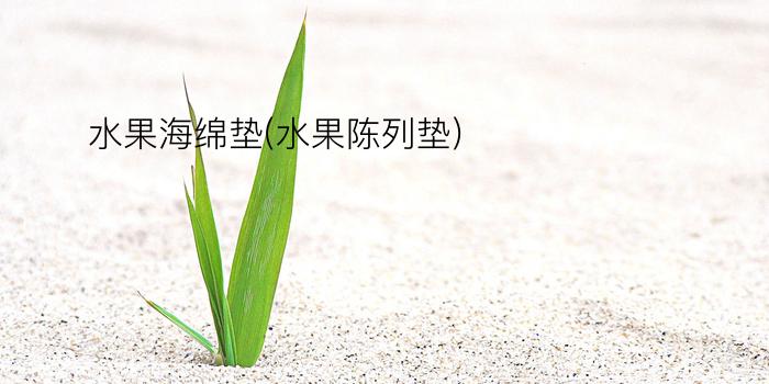 水果海绵垫(水果陈列垫)