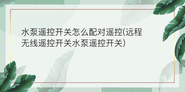 水泵遥控开关怎么配对遥控(远程无线遥控开关水泵遥控开关)