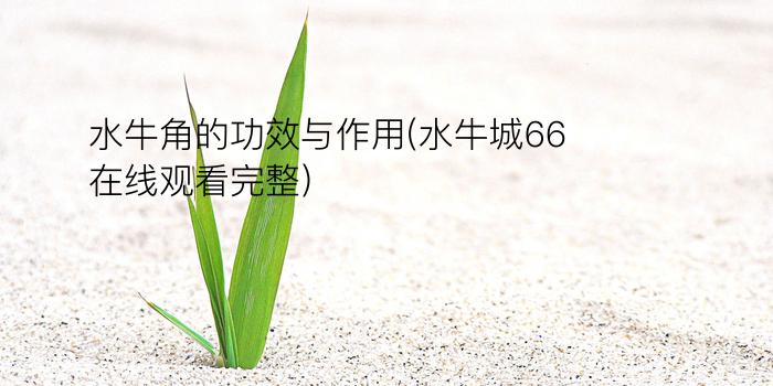 水牛角的功效与作用(水牛城66在线观看完整)