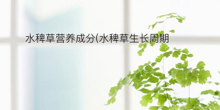 水稗草营养成分(水稗草生长周期)