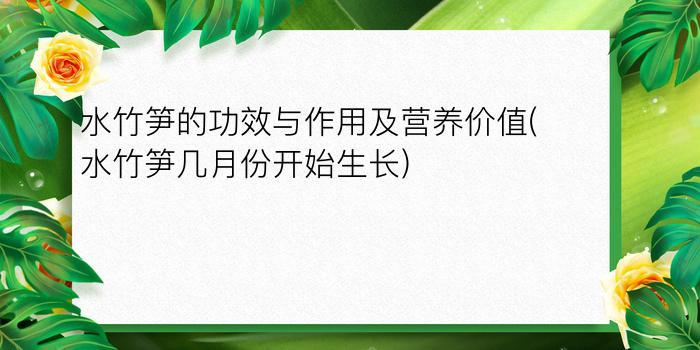 水竹笋的功效与作用及营养价值(水竹笋几月份开始生长)