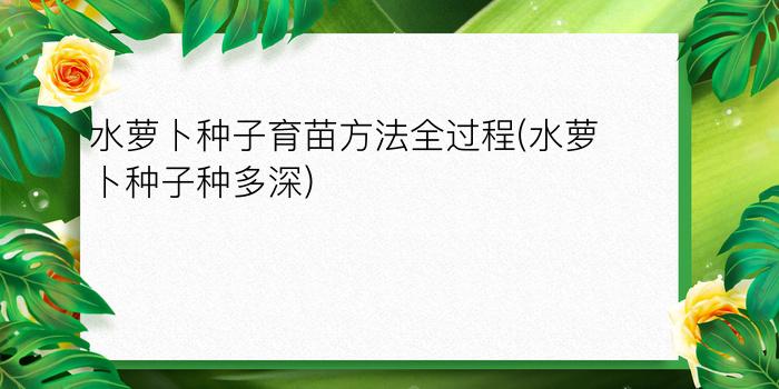 水萝卜种子育苗方法全过程(水萝卜种子种多深)