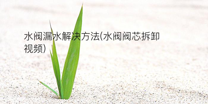 水阀漏水解决方法(水阀阀芯拆卸视频)