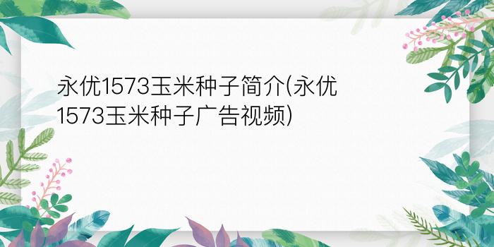 永优1573玉米种子简介(永优1573玉米种子广告视频)