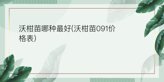 沃柑苗哪种最好(沃柑苗091价格表)