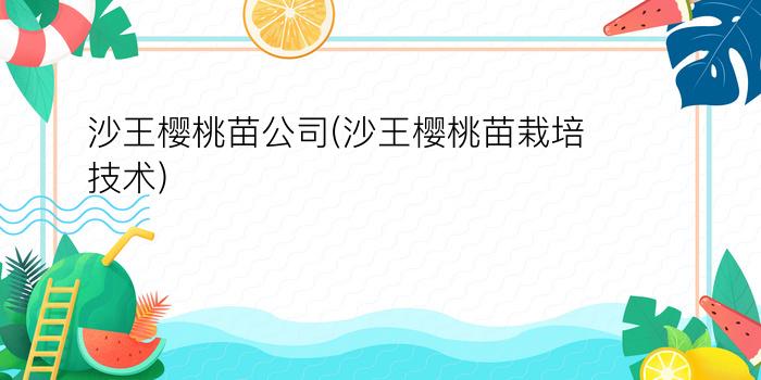 沙王樱桃苗公司(沙王樱桃苗栽培技术)