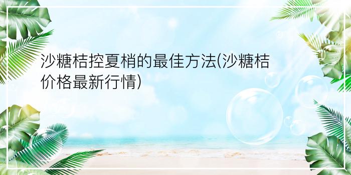 沙糖桔控夏梢的最佳方法(沙糖桔价格最新行情)