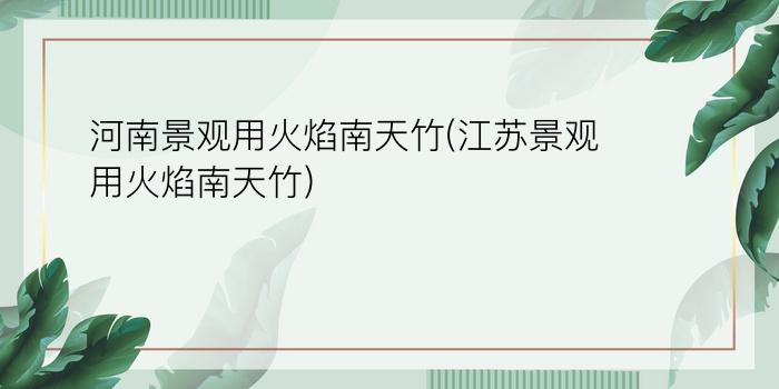 河南景观用火焰南天竹(江苏景观用火焰南天竹)