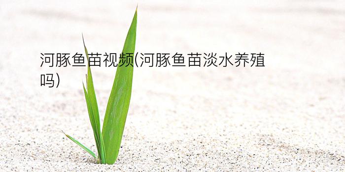 河豚鱼苗视频(河豚鱼苗淡水养殖吗)