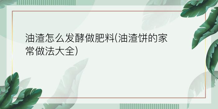 油渣怎么发酵做肥料(油渣饼的家常做法大全)