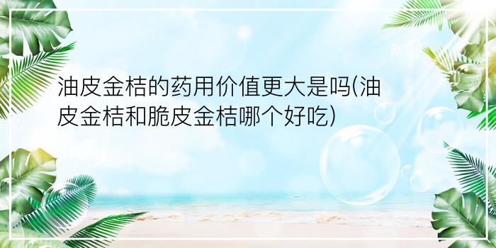 油皮金桔的药用价值更大是吗(油皮金桔和脆皮金桔哪个好吃)