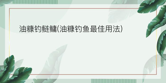 油糠钓鲢鳙(油糠钓鱼最佳用法)