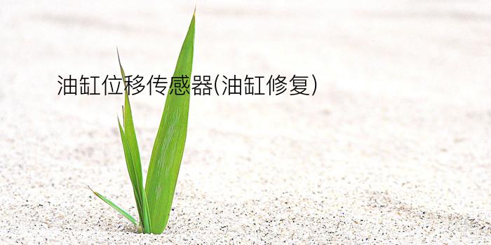 油缸位移传感器(油缸修复)