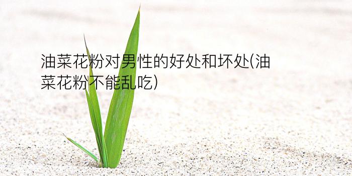 油菜花粉对男性的好处和坏处(油菜花粉不能乱吃)