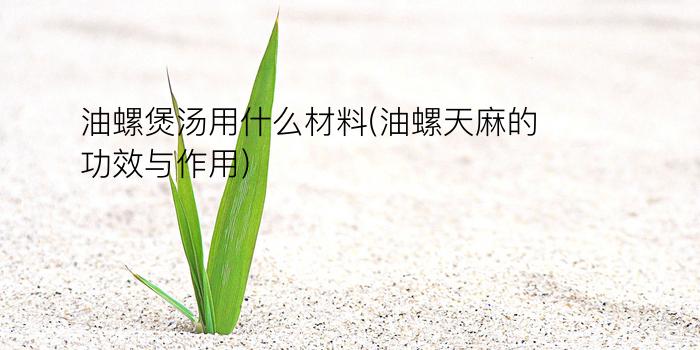 油螺煲汤用什么材料(油螺天麻的功效与作用)