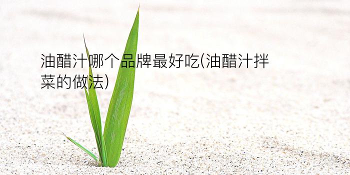 油醋汁哪个品牌最好吃(油醋汁拌菜的做法)