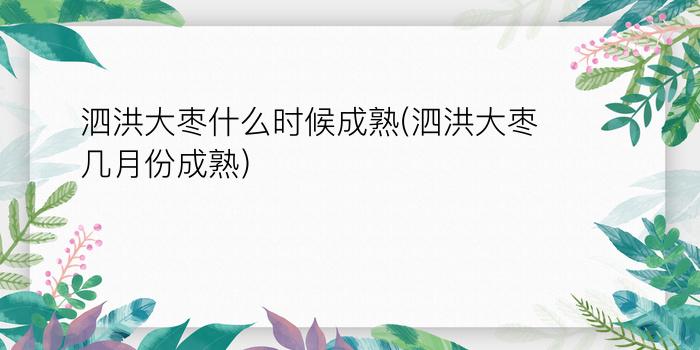 泗洪大枣什么时候成熟(泗洪大枣几月份成熟)