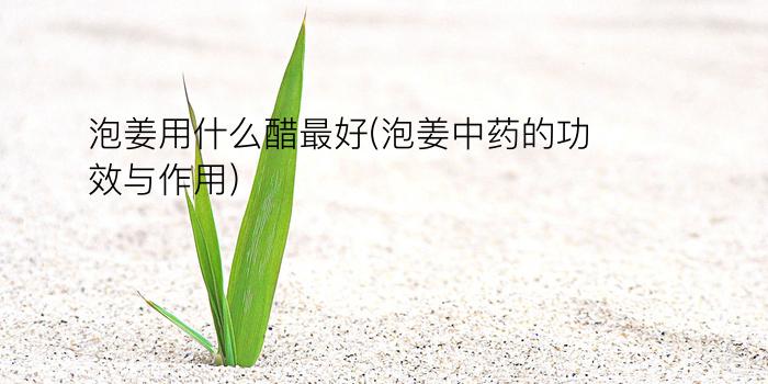 泡姜用什么醋最好(泡姜中药的功效与作用)