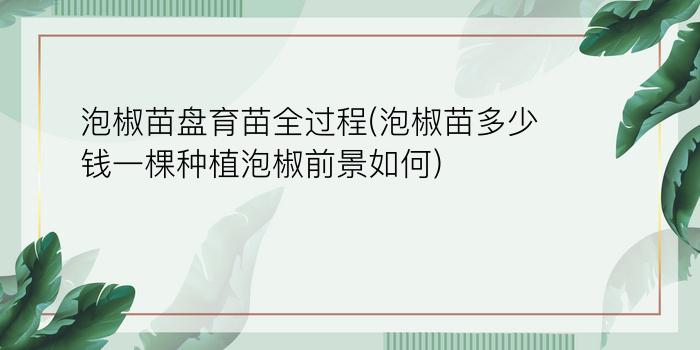 泡椒苗盘育苗全过程(泡椒苗多少钱一棵?种植泡椒前景如何)