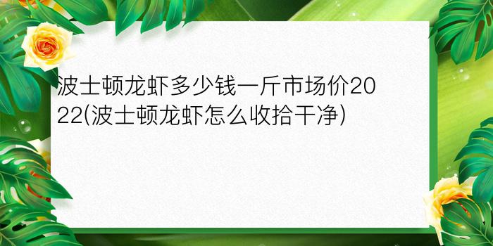 波士顿龙虾多少钱一斤市场价2022(波士顿龙虾怎么收拾干净)