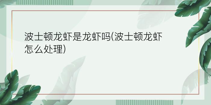 波士顿龙虾是龙虾吗(波士顿龙虾怎么处理)