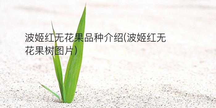 波姬红无花果品种介绍(波姬红无花果树图片)