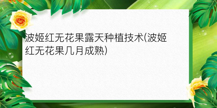 波姬红无花果露天种植技术(波姬红无花果几月成熟)