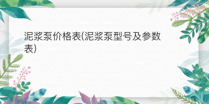 泥浆泵价格表(泥浆泵型号及参数表)