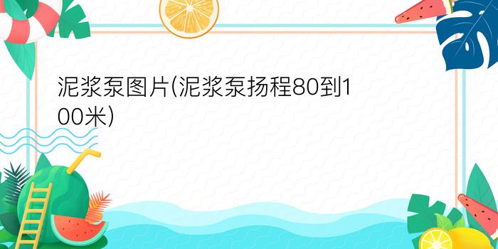 泥浆泵图片(泥浆泵扬程80到100米)