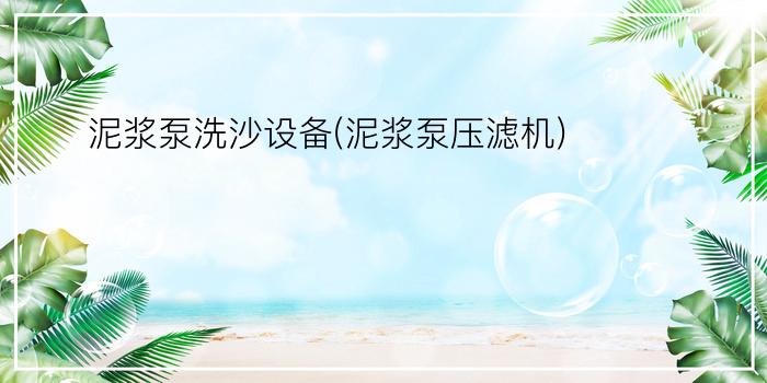 泥浆泵洗沙设备(泥浆泵压滤机)