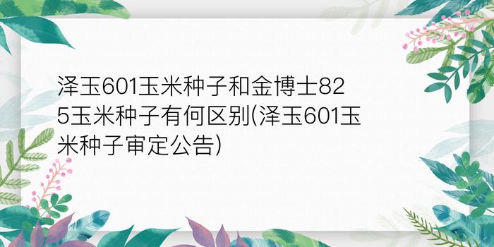 泽玉601玉米种子和金博士825玉米种子有何区别(泽玉601玉米种子审定公告)