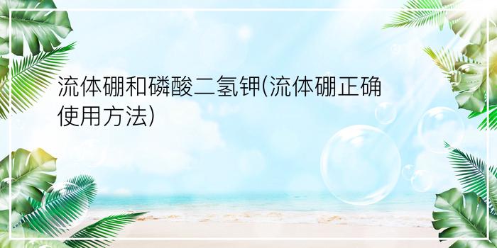 流体硼和磷酸二氢钾(流体硼正确使用方法)