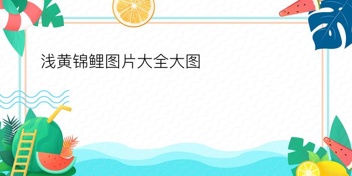 浅黄锦鲤图片大全大图