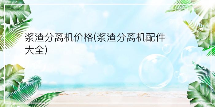 浆渣分离机价格(浆渣分离机配件大全)