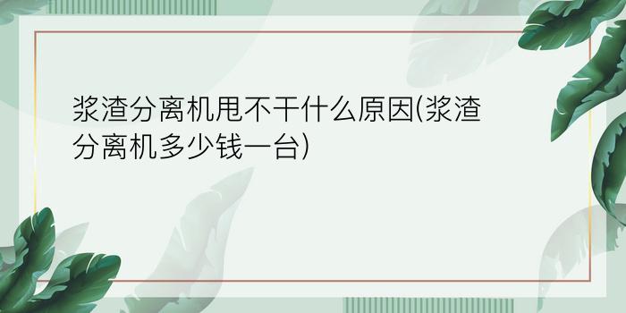 浆渣分离机甩不干什么原因(浆渣分离机多少钱一台)