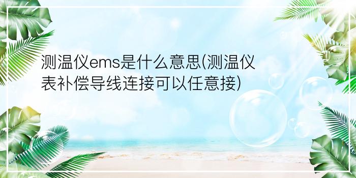 测温仪ems是什么意思(测温仪表补偿导线连接可以任意接)