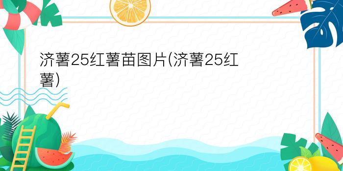 济薯25红薯苗图片(济薯25红薯)