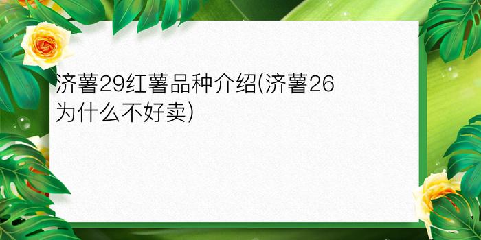 济薯29红薯品种介绍(济薯26为什么不好卖)