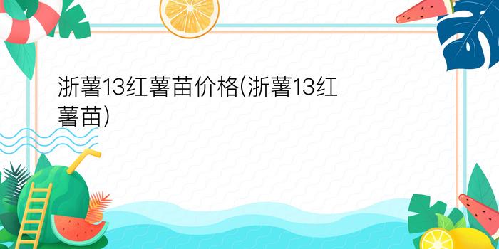 浙薯13红薯苗价格(浙薯13红薯苗)