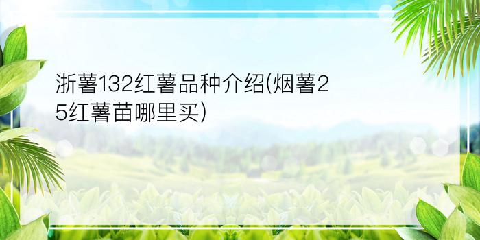 浙薯132红薯品种介绍(烟薯25红薯苗哪里买)