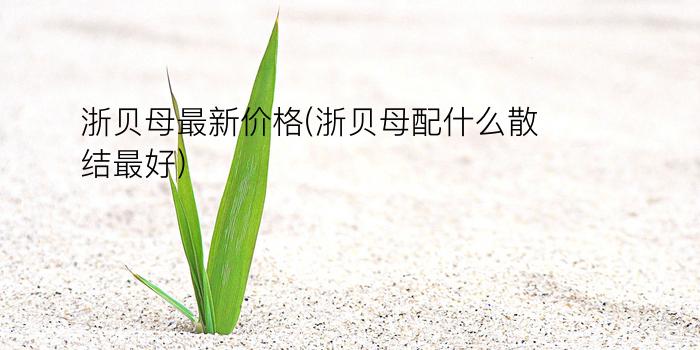 浙贝母最新价格(浙贝母配什么散结最好)