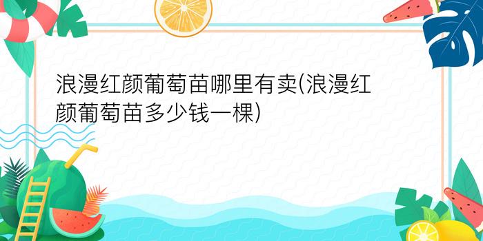 浪漫红颜葡萄苗哪里有卖(浪漫红颜葡萄苗多少钱一棵)