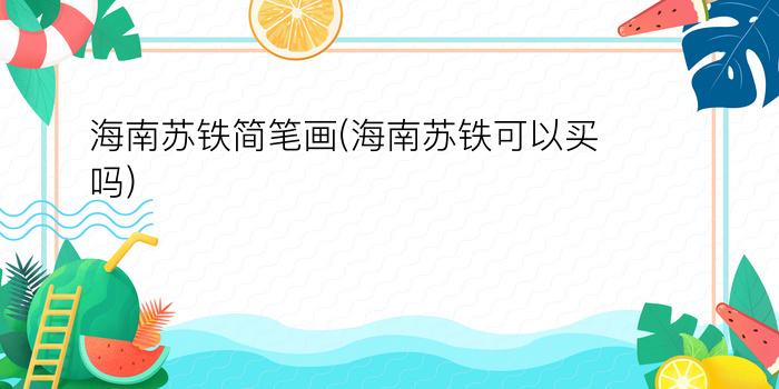 海南苏铁简笔画(海南苏铁可以买吗)