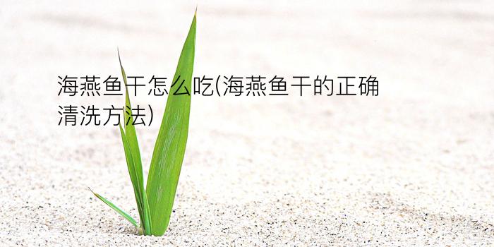 海燕鱼干怎么吃(海燕鱼干的正确清洗方法)