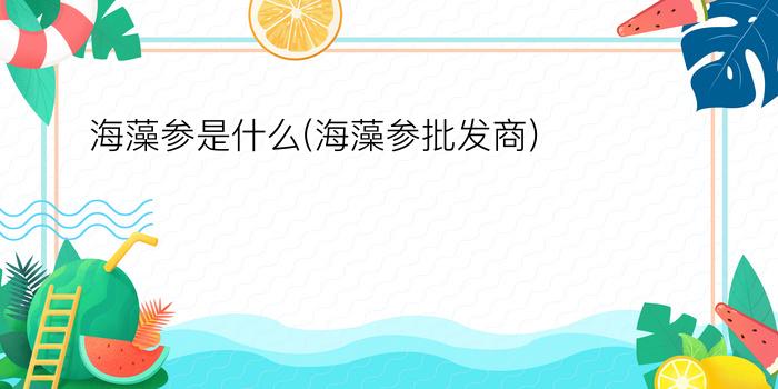 海藻参是什么(海藻参批发商)