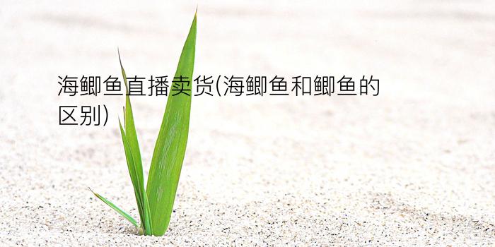 海鲫鱼直播卖货(海鲫鱼和鲫鱼的区别)