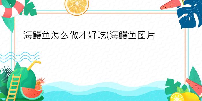 海鳗鱼怎么做才好吃(海鳗鱼图片)