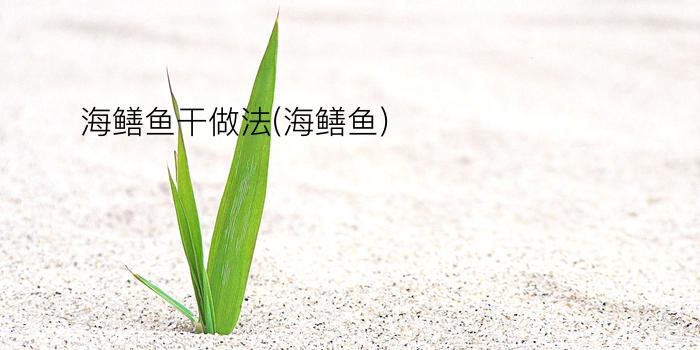 海鳝鱼干做法(海鳝鱼)