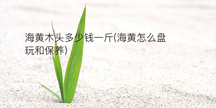 海黄木头多少钱一斤(海黄怎么盘玩和保养)